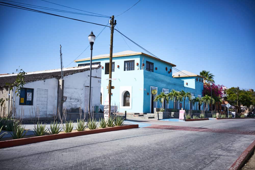 A white building and a blue building on a street in Todos Santos, Mexico, on a street lined with agave and palm trees. 