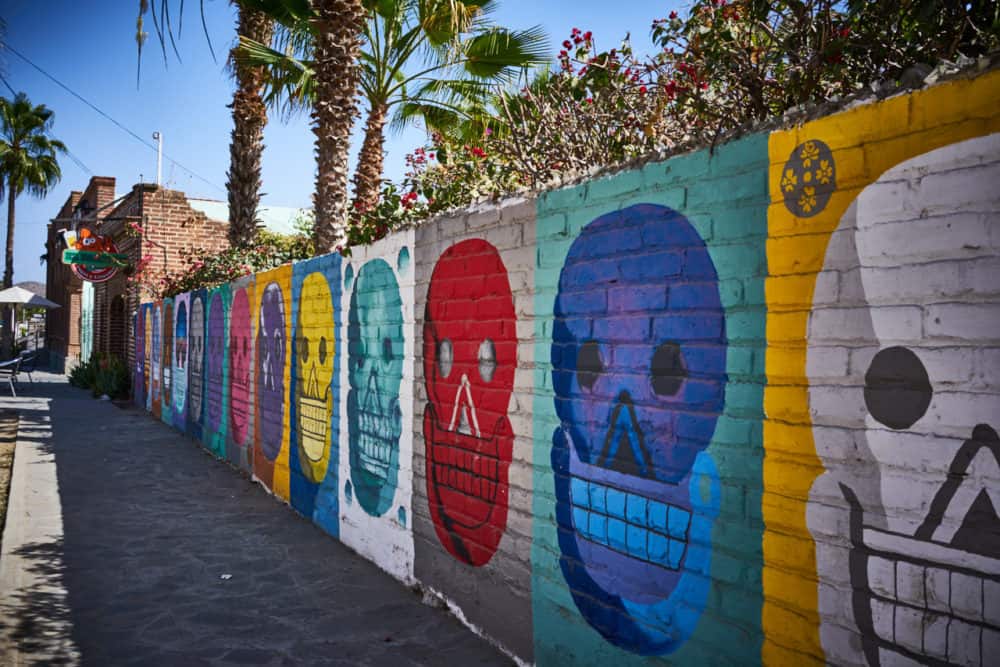 A brick wall is painted with a row of multi-colored skulls with palm trees in the background in Todos Santos, Mexico.