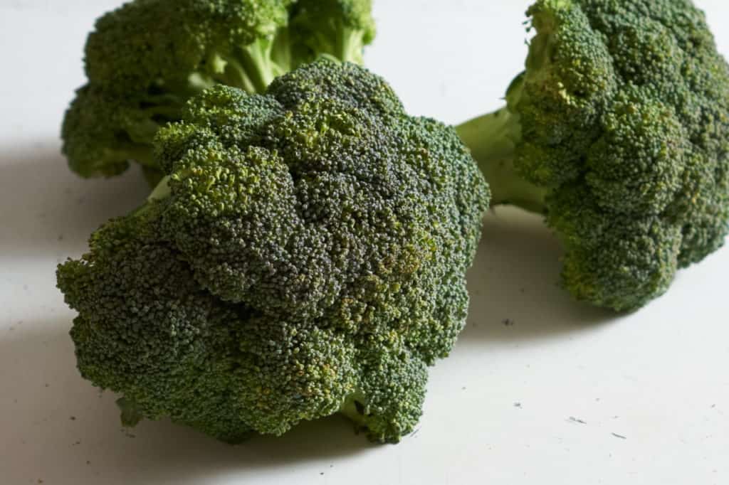 Three fresh broccoli crowns.