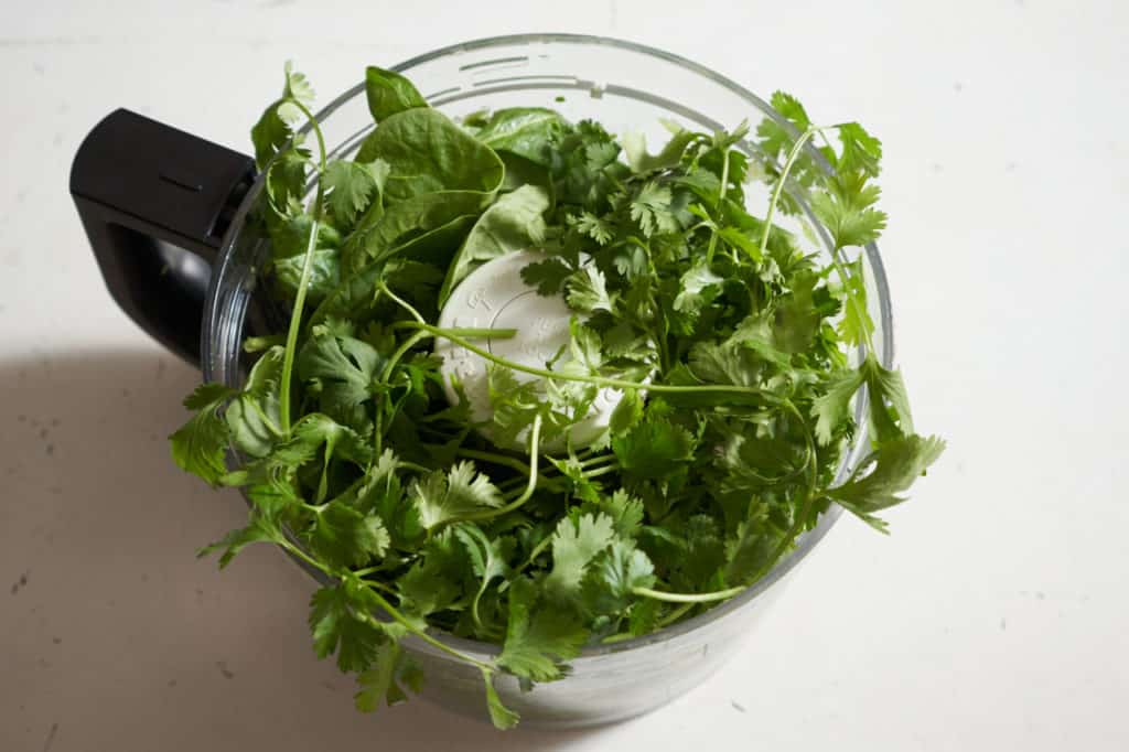 Fresh cilantro and spinach overflowing from a food processor.