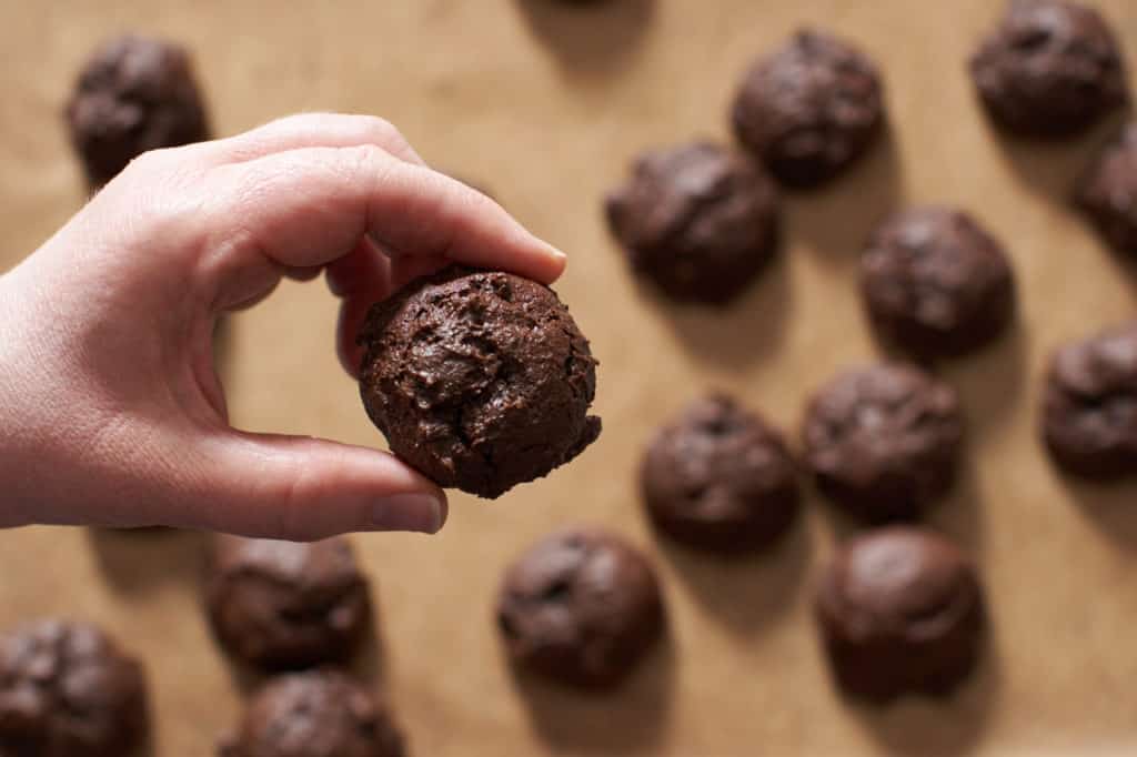 A woman's hand holding a gluten free chocolate cookie.