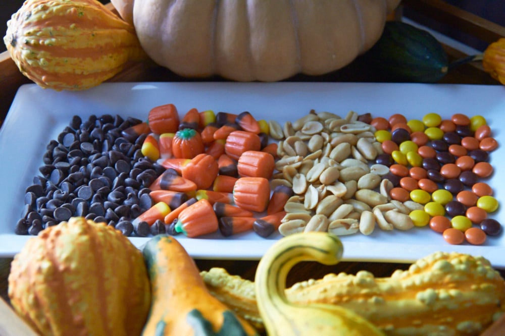 A plate filled with rows of chocolate chips, candy corn, peanuts and peanut butter candies surrounded by pumpkins and gourds.