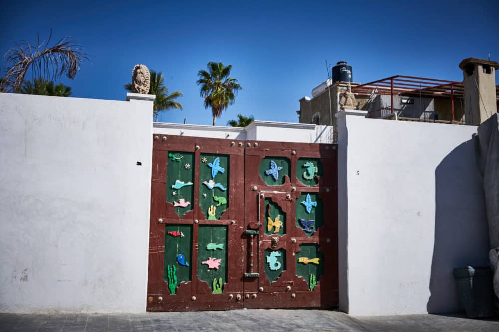 A large white wall with a wooden gate that has brightly colored birds, fish and other sea creatures. 