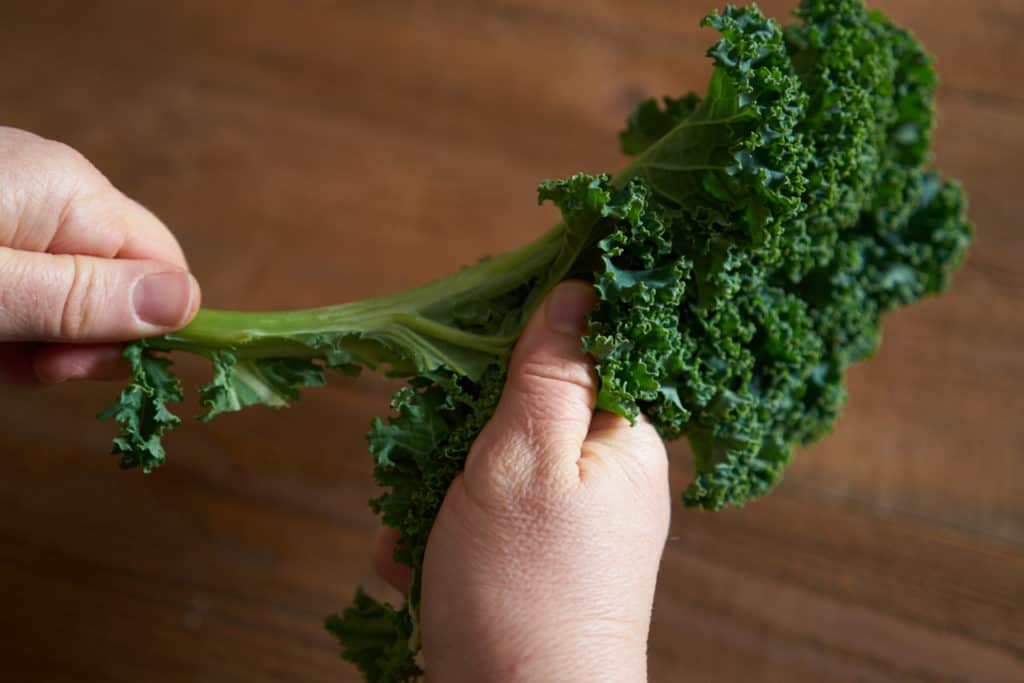 A woman's hands are shown tearing kale leaves from the stem.