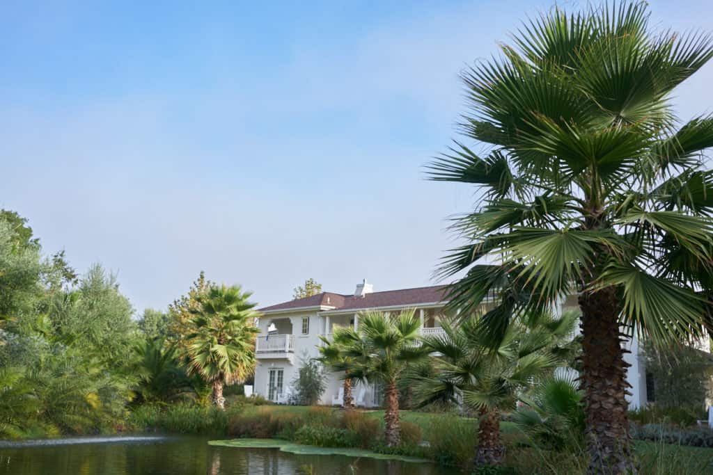 The View Rooms at Indian Springs hotel in Calistoga CA, a white building facing a pond surrounded by palm trees. 