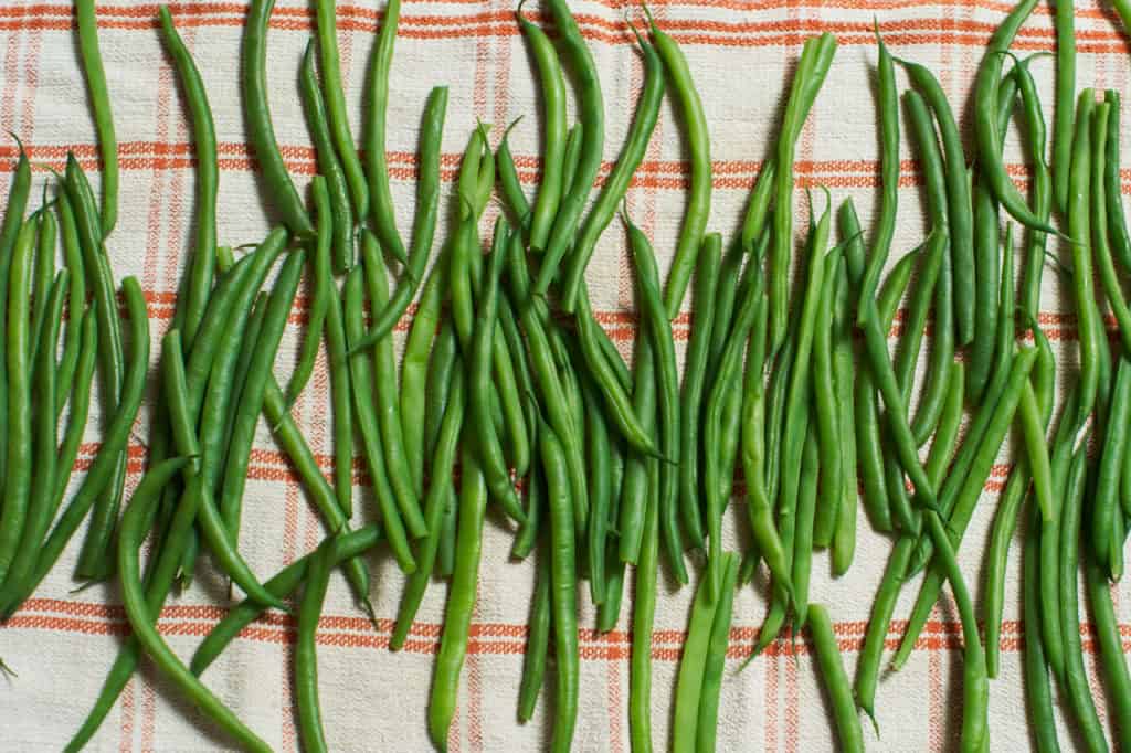 Blanched green beans (haricots verts) drying on a kitchen towel.