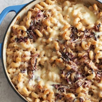 Baked pasta with goat cheese, radicchio and caramelized red onion in a blue pan