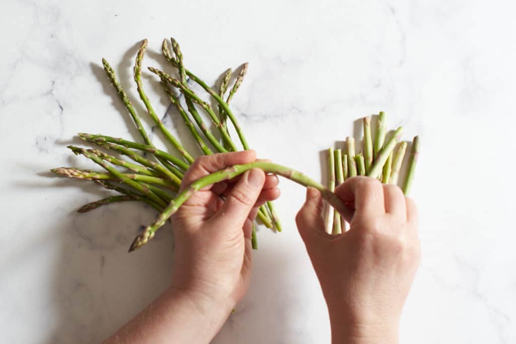 A woman's hands breaking off the woody stems of asparagus spears.