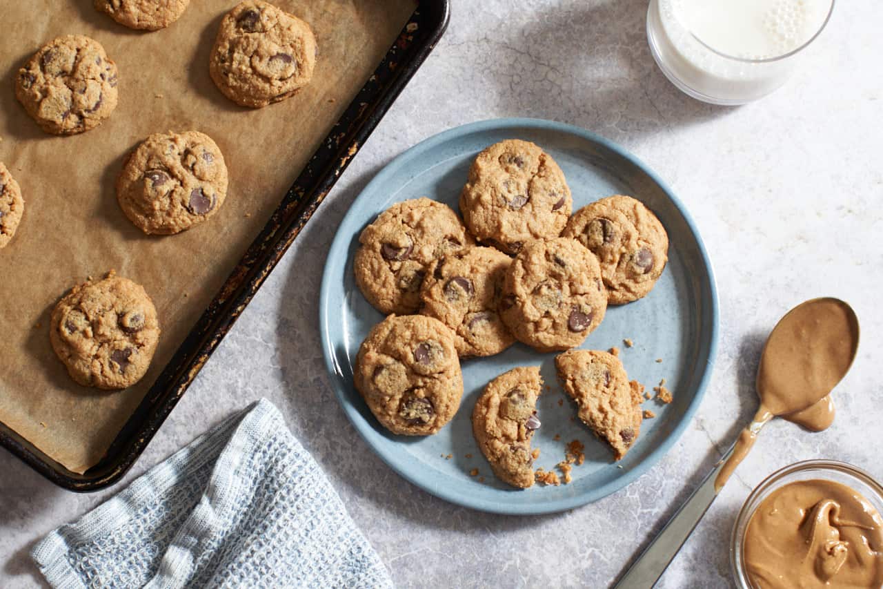 Gluten free peanut butter chocolate chip cookies on a sheet pan and a blue plate, surrounded by a dripping spoonful of peanut butter and a small bowl if it, a glass of milk, and a blue napkin.