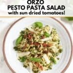 Two plates of orzo pesto pasta salad with sun dried tomatoes topped with grated parmesan cheese and fresh basil leaves, a bunch of fresh basil leaves are in the upper right.